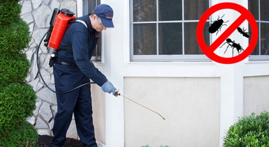 Dinar Tahtakurusu İlaçlama böcek ilaçlama ve haşere kontrolü — ilaclama-tr.com